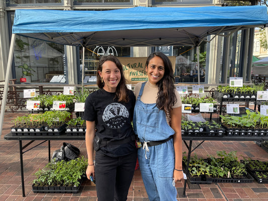 Cultural Roots Nursery: Keeping Cultures Alive Through Heritage Crops